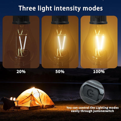 Decorative Hanging Bulb with 3 Modes Tent Lamp for Camping Pac of 2