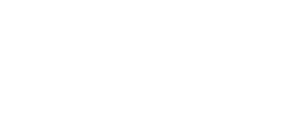 Aavasa